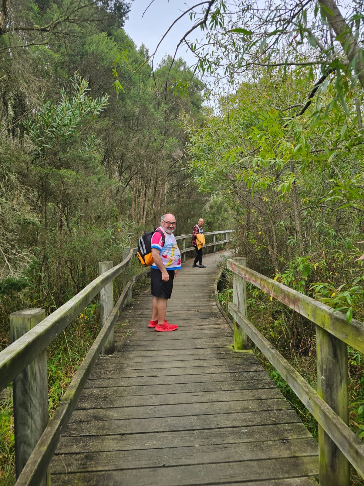 Nature walk on boardwalk